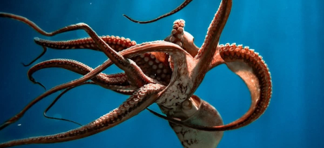 Course Level 1 illustration